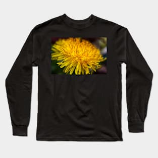 The Dandy Lion Long Sleeve T-Shirt